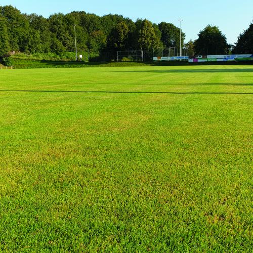 Sportplatz – Bild 137