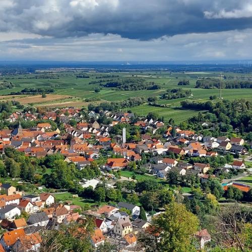 2022 Vereinsausflug – Bild 96