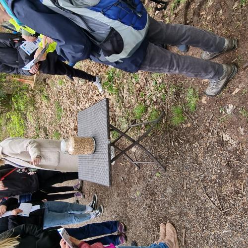 2023 Bildersuchwanderung – Bild 70